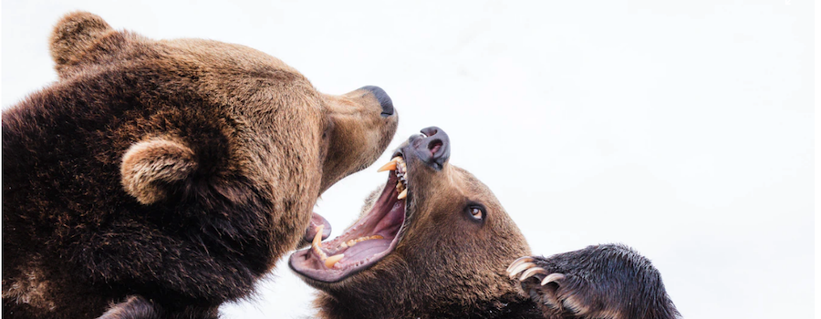 Photo by rawpixel on Unsplash