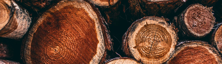 Photo by Atlas Kadrów(@atlaskadrow) on Unsplash